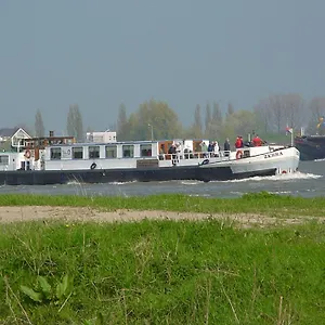 Zebra ** Amsterdam